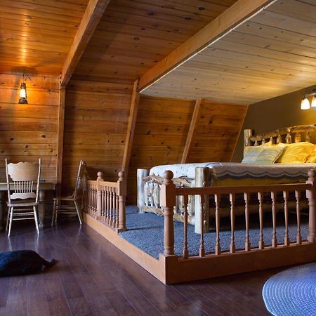 Hicksville Pines Chalets & Motel Idyllwild Εξωτερικό φωτογραφία