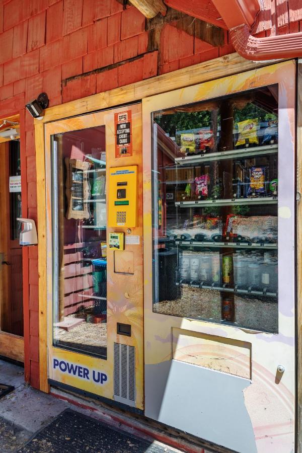 Hicksville Pines Chalets & Motel Idyllwild Εξωτερικό φωτογραφία
