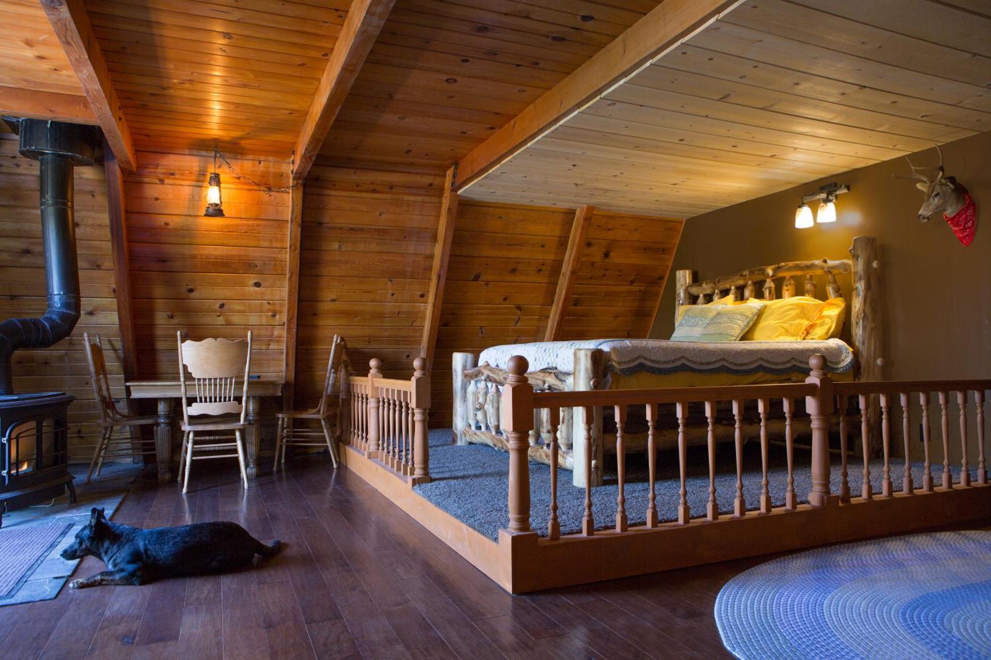 Hicksville Pines Chalets & Motel Idyllwild Εξωτερικό φωτογραφία